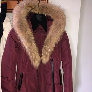 Mackage burgundy coat